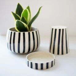 Jungalow Kaya 3-Piece Ceramic Planter By Justina Blakeney™ 16 Jungalow Kaya 3-Piece Ceramic Planter By Justina Blakeney™ -Home Touch Sale Store 00 280bd097 3df8 45dd 96e6 7b22dd6a8032