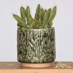 Cactus Planter