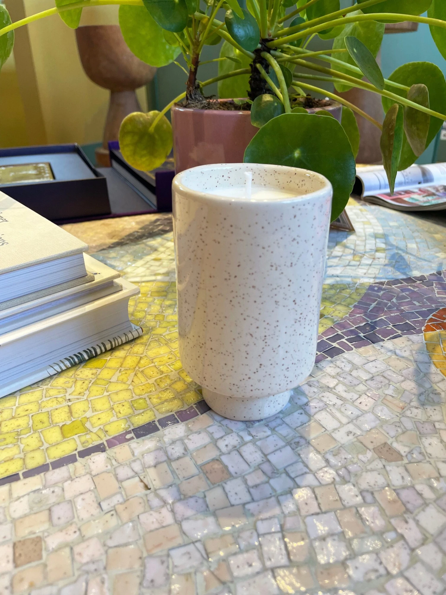 Jungalow Kaya Ceramic Candle - Speckled Cream/Coconut Musk 5 Jungalow Kaya Ceramic Candle - Speckled Cream/Coconut Musk - Image 5