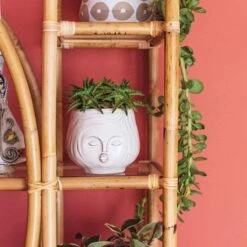 Home Touch Sale Store -Home Touch Sale Store Jungalow Pucker Up Plan