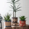 Mathus Printed Jute Planters - Set Of 3
