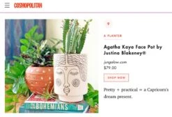 Jungalow Agatha Kaya Face Vase By Justina Blakeney™ -Home Touch Sale Store agatha kaya face pot