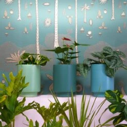 Jungalow Kiwi Green Kaya Vase By Justina Blakeney™ -Home Touch Sale Store greenplanters