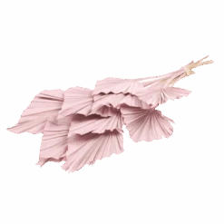 Rose Palm Bouquet 5 Rose Palm Bouquet -Home Touch Sale Store pink spade palm best dried flowers and dried bouquets 30550881501236 PhotoRoom