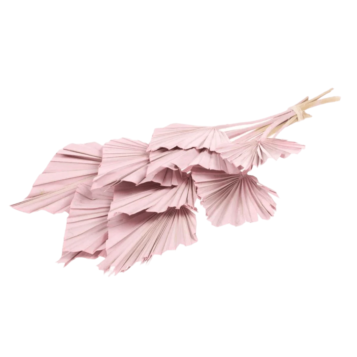 Rose Palm Bouquet 3 Rose Palm Bouquet - Image 3