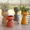 Ceramic Planter Set