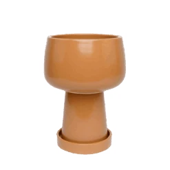 Jungalow Kaya 3-Piece Ceramic Planter By Justina Blakeney™ 25 Jungalow Kaya 3-Piece Ceramic Planter By Justina Blakeney™ -Home Touch Sale Store terrakayaplanter